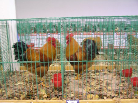 Kubaloš Rastislav - 94b, 94b